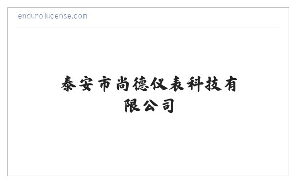 泰安市尚德仪表科技有限公司,IC卡智能水表,IC卡智能电表,多用户集中式电表,低功耗智能水表,远传水表,远传预付费电表,大口径水表 缩略图